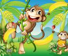 Бег обезьяны в джунглях