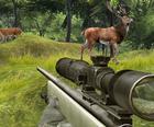 Снайпер охотится на смертельно опасное животное