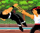 Kung Fu Boj: Beat 'Em Up