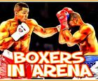 Boxers na Arena