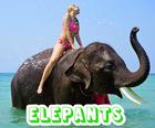 Elephants Puzzle