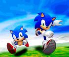 Sonic Bilmecenin Koleksiyonu