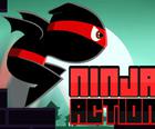 Ninja Akcije
