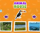 Spel Animal House