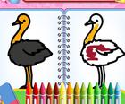 Coloring Birds