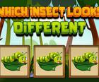 Which Insect Looks Different