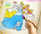 Princesas Para Colorear Libro