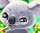 Feliz Koala