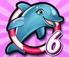 My Dolphin Wys 6