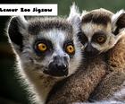 Lemur Thú Jigsaw