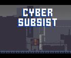 Le Cyber Subsiste