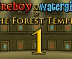 Fireboy e Watergirl Templo do Bosque