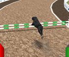 Hond Race Simulator