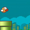 Flappy ציפור Flappy ציפור