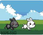 Bu Bunny Two Rabbit