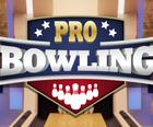Pro 3D Bowling