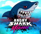 Requin en colère Miami