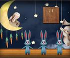 Ambel Tavşan Odası Kaçış 2