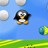 Pingu រស្វែងរក Pingu រស្វែងរក