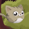 JumpKitty JumpKitty