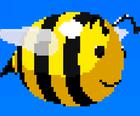 Bee Cẩn Thận