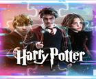 Harry Potter, Trò Chơi Ghép Hình