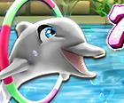 My Dolphin Show 7