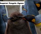 Puzzle de Pingouin Empereur