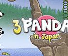 3 Pandas yn Japan