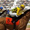 競馬:ベットゲーム 競馬:ベットゲーム