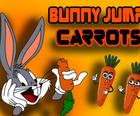 กระต่ายกระโดดแครอท