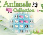Gyvūnų Kolekcija