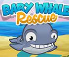 Baby-Wal-Rettung