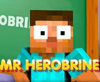 Mr Herobrine