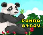 История Панды