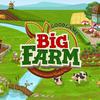 Big Farm Big Farm