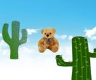 Fall cactus Season 1 teddy