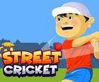 Straße Cricket