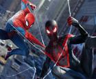 Ombre Web de Spider-Man 2