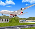 비행기 비행 3D 비행기 항공편