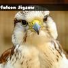 Gyrfalcon Jigsaw Gyrfalcon Jigsaw