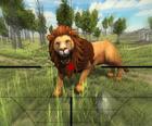 Chasse au Lion 3D