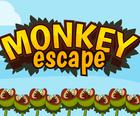 Μαϊμού Escape