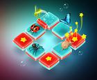 Insect Exploration