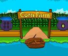 Corn Farm Undslippe