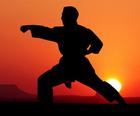 Karate Sonnenuntergang Krieger