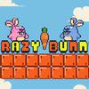 Crazy Bunny Crazy Bunny