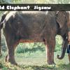 Child Elephant Jigsaw Child Elephant Jigsaw