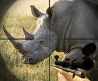 Frappe de Tir de Chasseur de Rhinocéros 