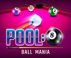 Pool 8 Ball Mani